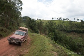 Route vers la forêt impénétrable de Bwindi, Ouganda